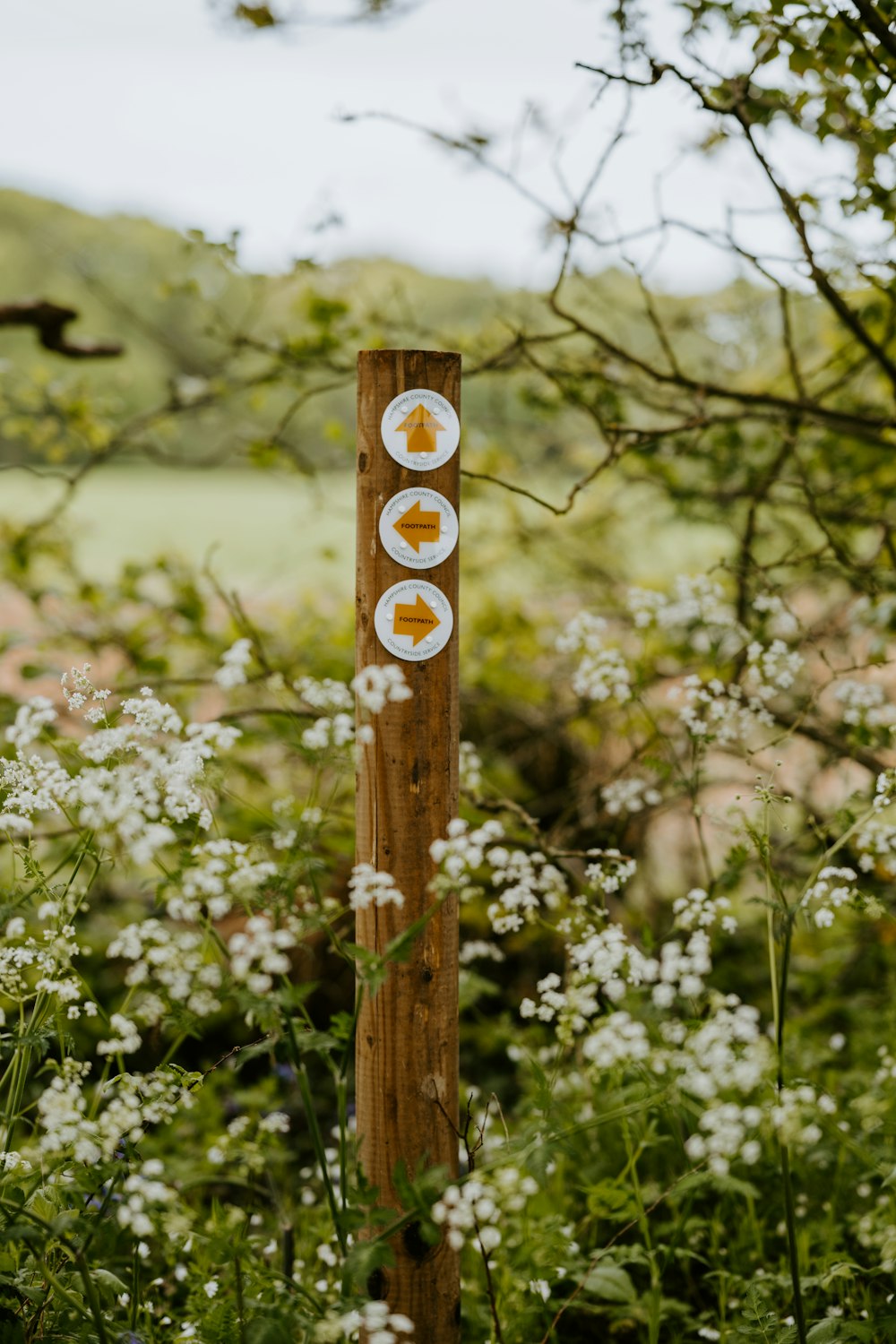 brown wooden cross with white flowers