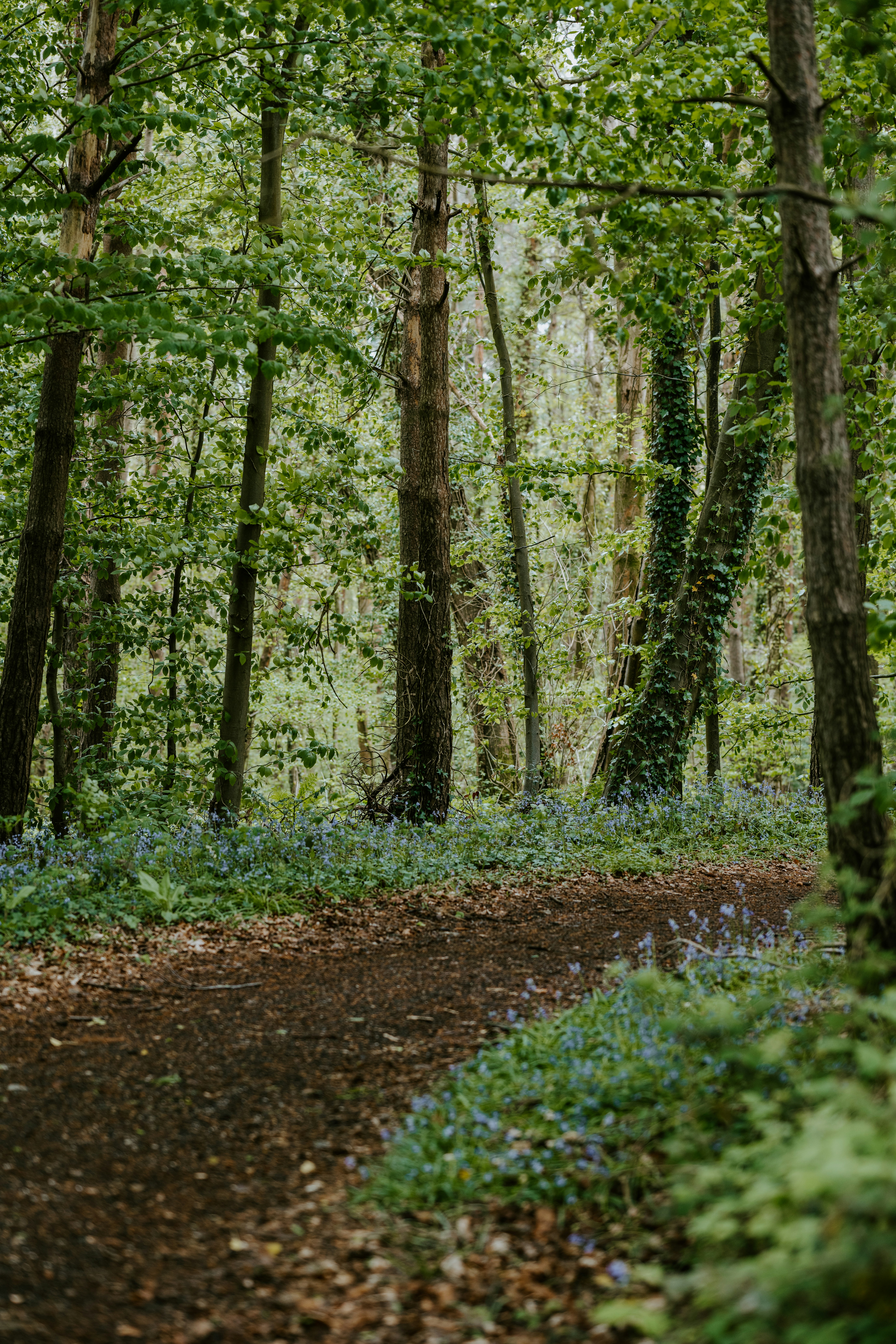 Photo by anniespratt