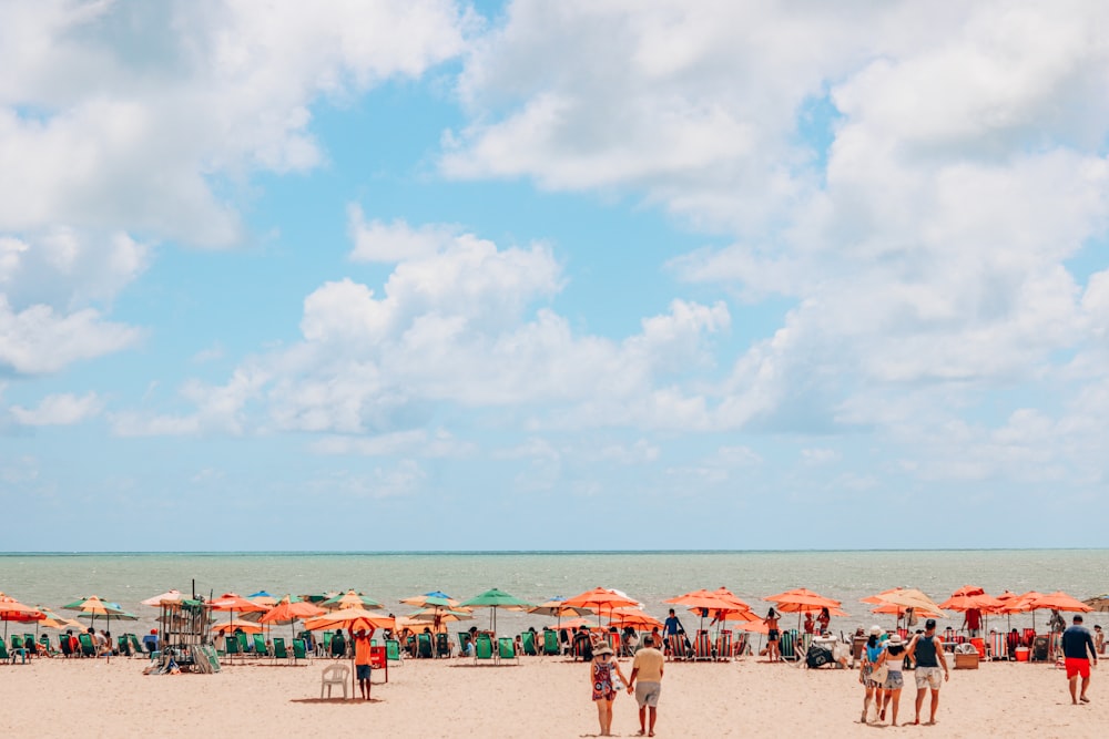 people on beach during daytime