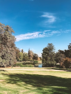 green grass field with trees under blue sky during daytime