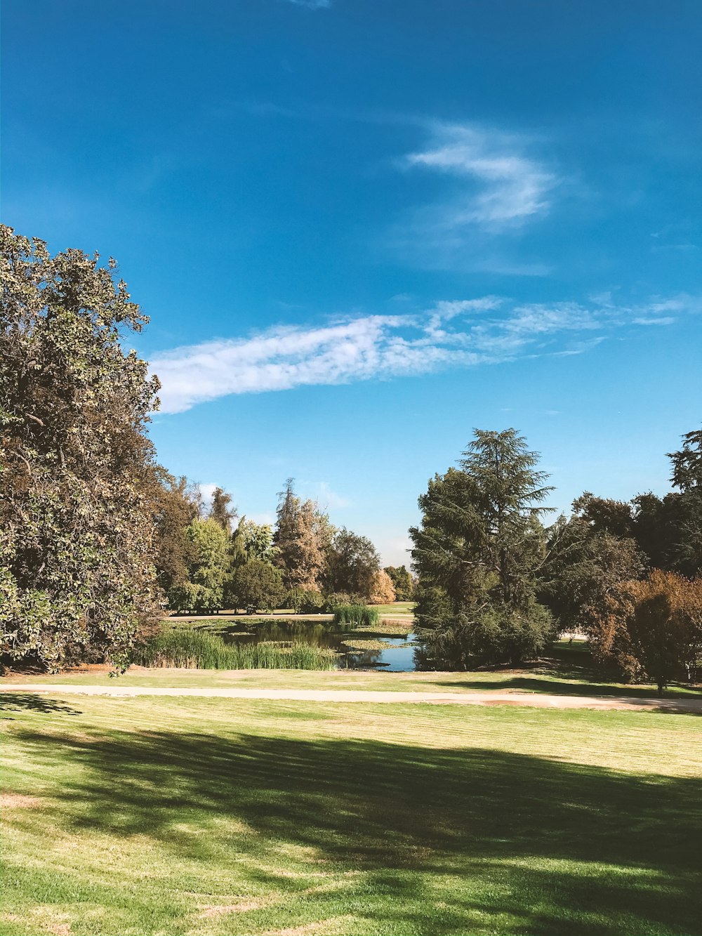 green grass field with trees under blue sky during daytime