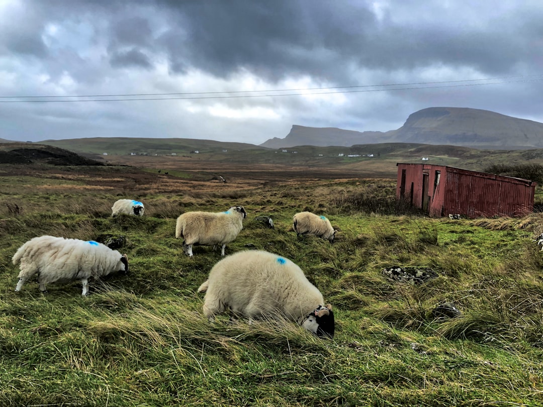 travelers stories about Tundra in Isle of Skye, United Kingdom