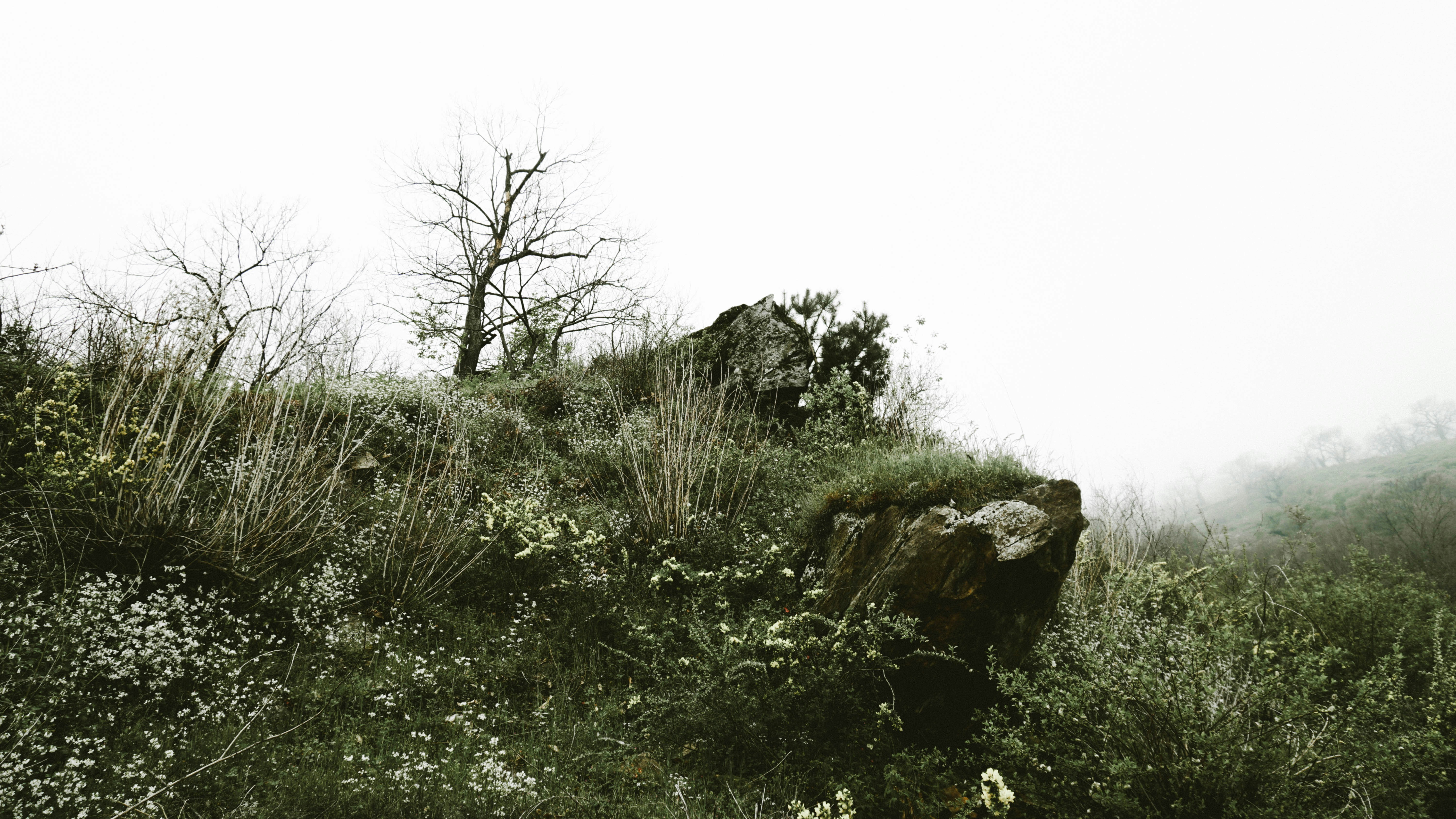 Photo by cesttse