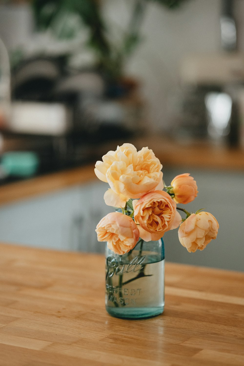 white and pink flower in glass bottle on brown wooden table