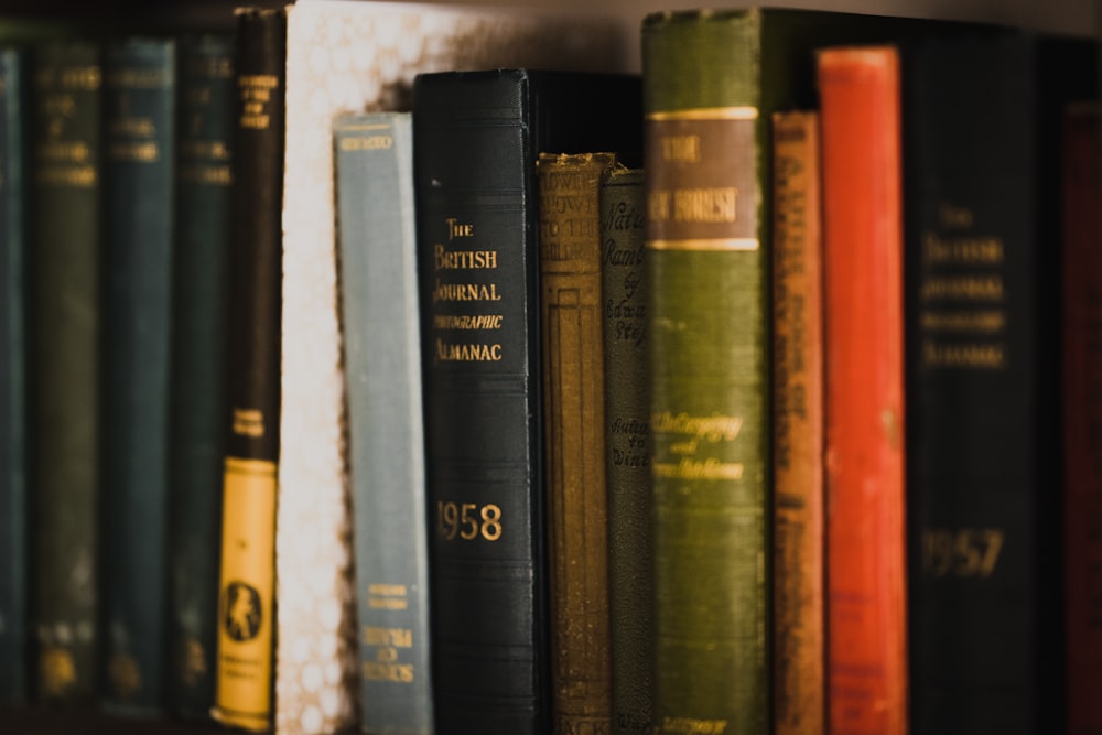 piled books on brown wooden shelf