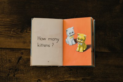 Parent to child book