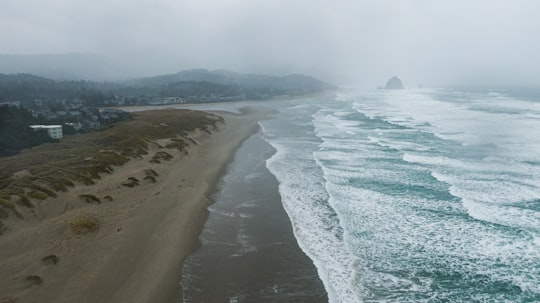 sea waves crashing on shore during daytime in Cannon Beach United States