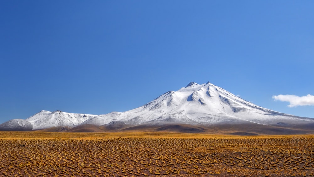 white and black mountain under blue sky during daytime