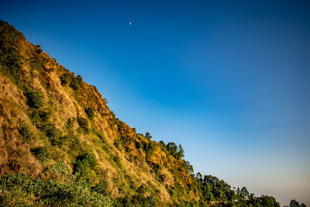 green and brown mountain under blue sky during daytime