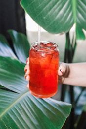 person holding clear drinking glass with red liquid