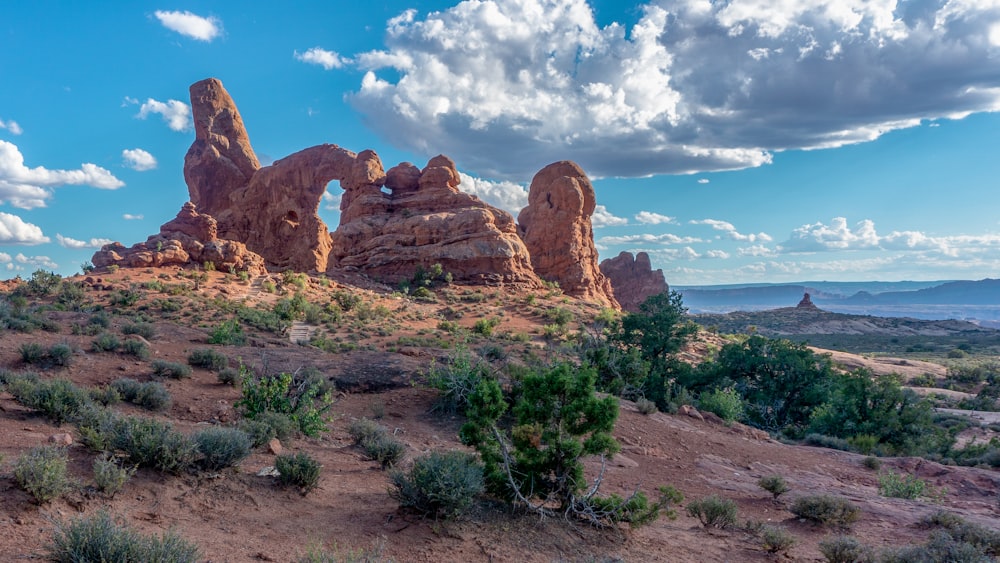 brown rock formation near green plants during daytime