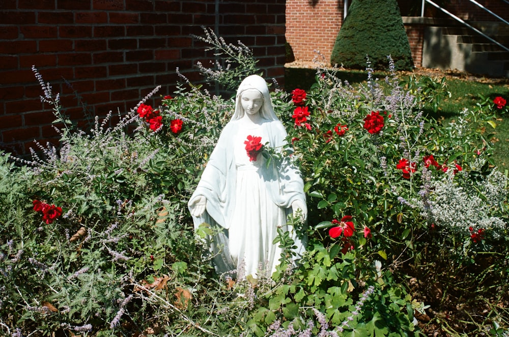 woman in white dress standing on red flower field during daytime