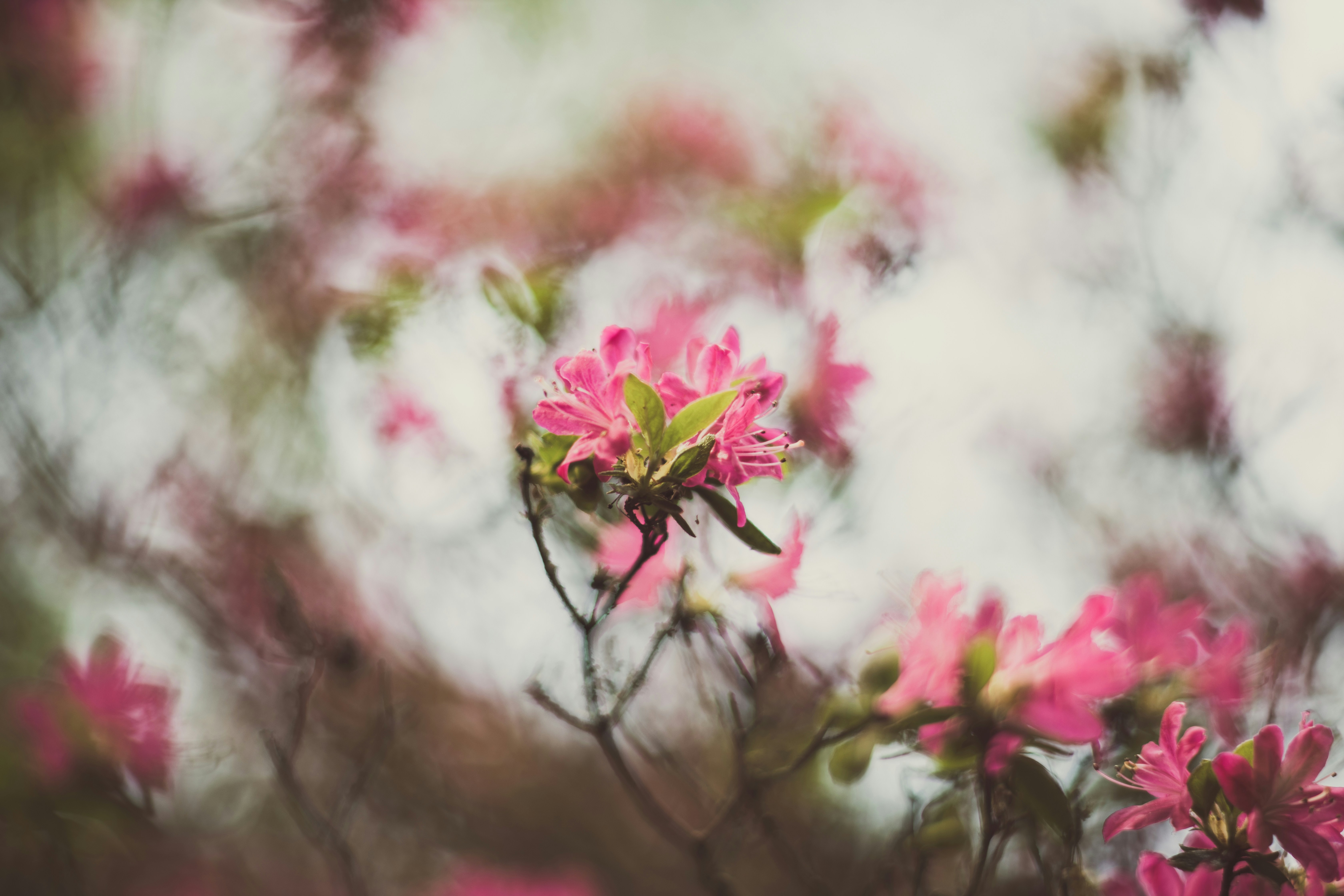 Photo by alexander_ant