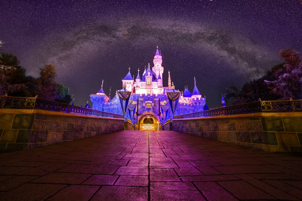 green and brown castle under black sky