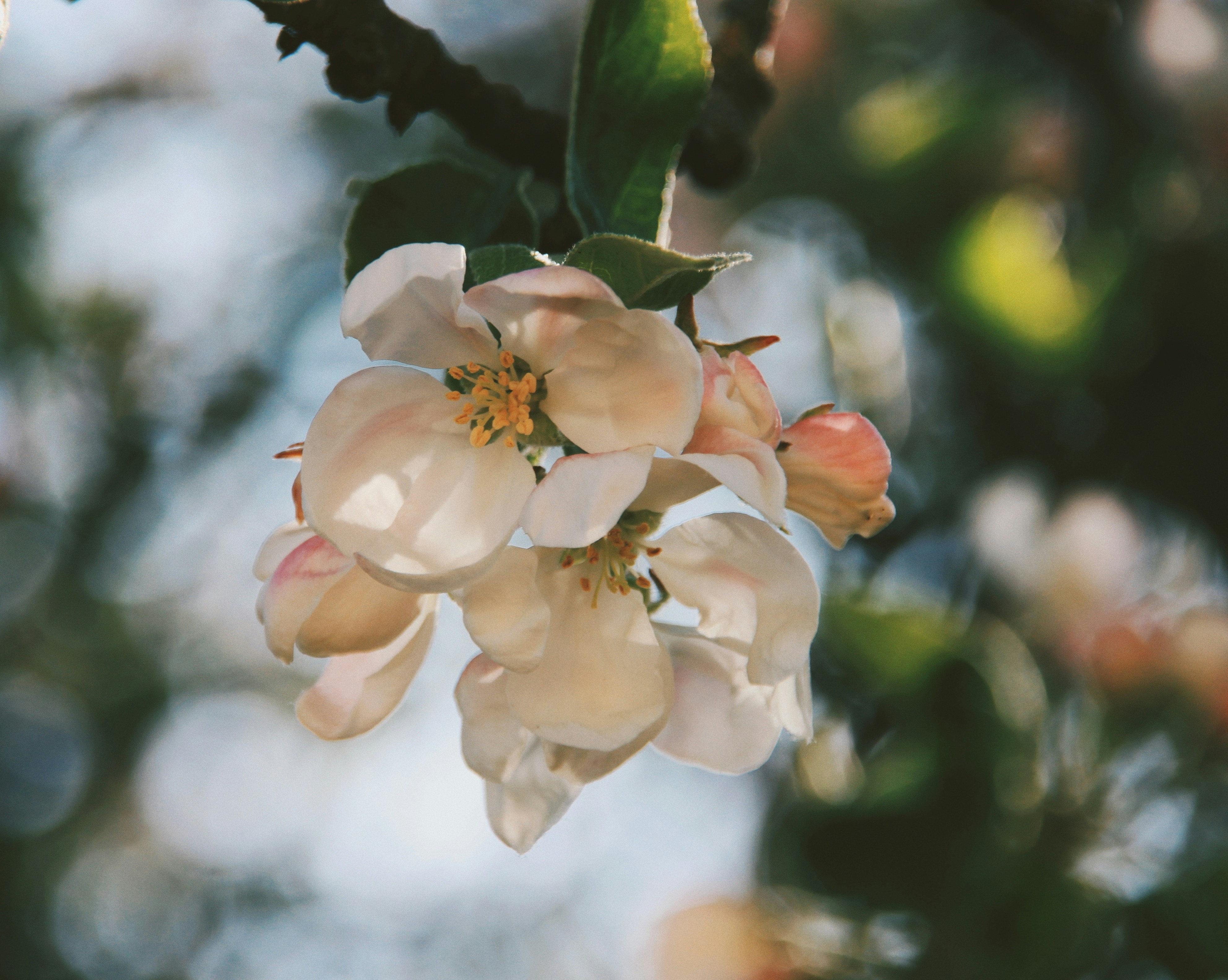 Choose from a curated selection of 4k photos. Every image can be used for free for both commercial and personal uses thanks to the Unsplash community's photographers.