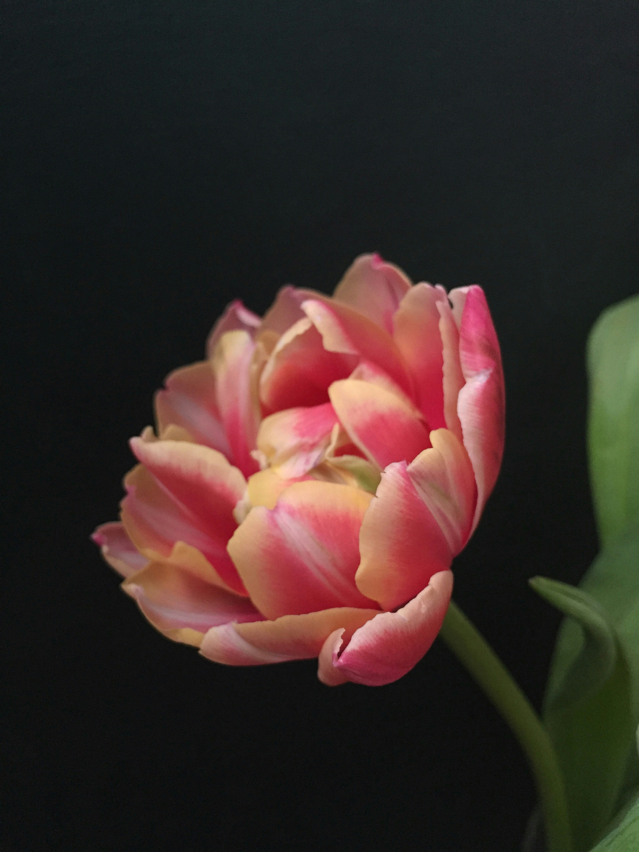 Photo by reclaimedbackgrounds