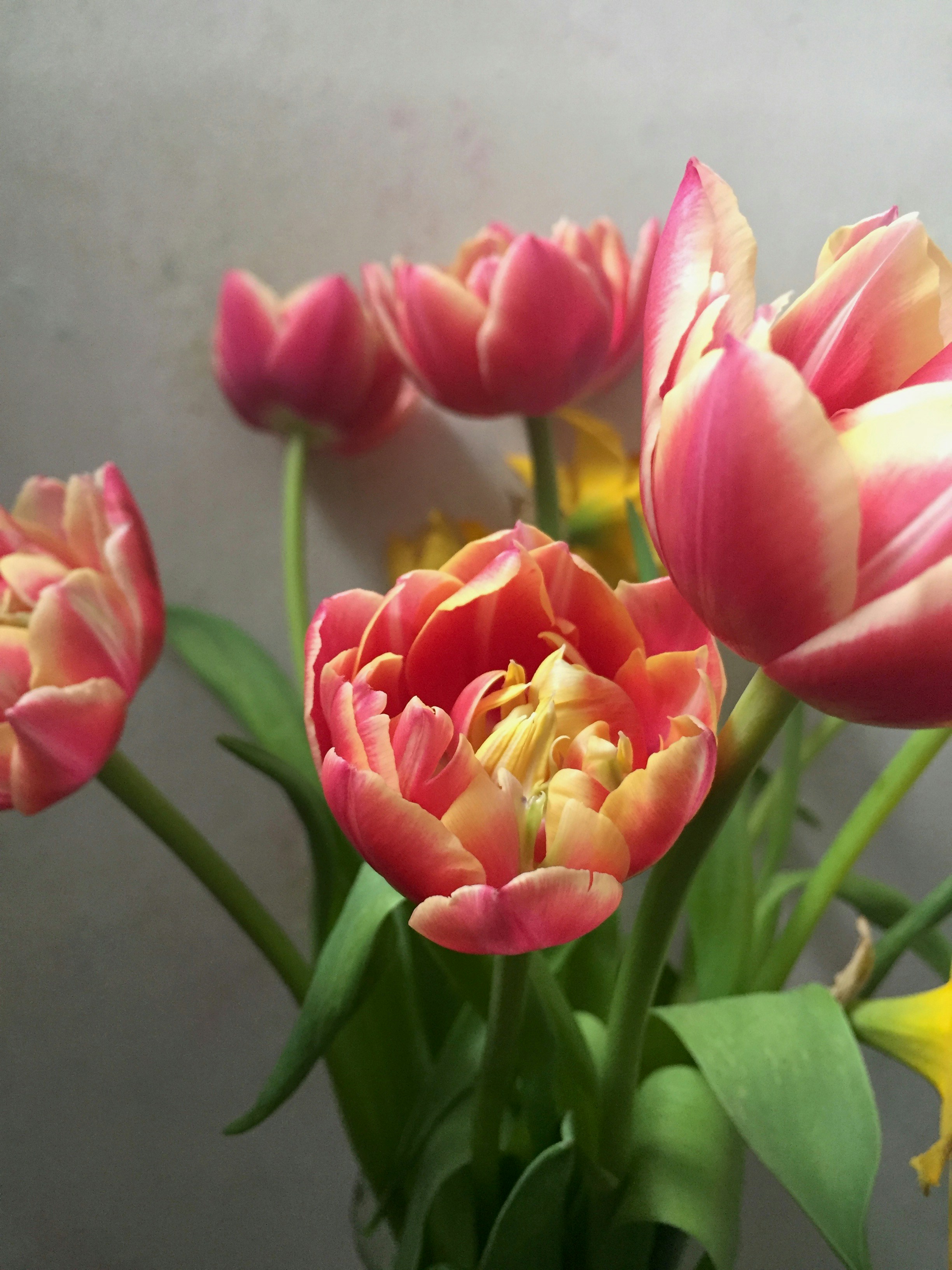 Photo by reclaimedbackgrounds