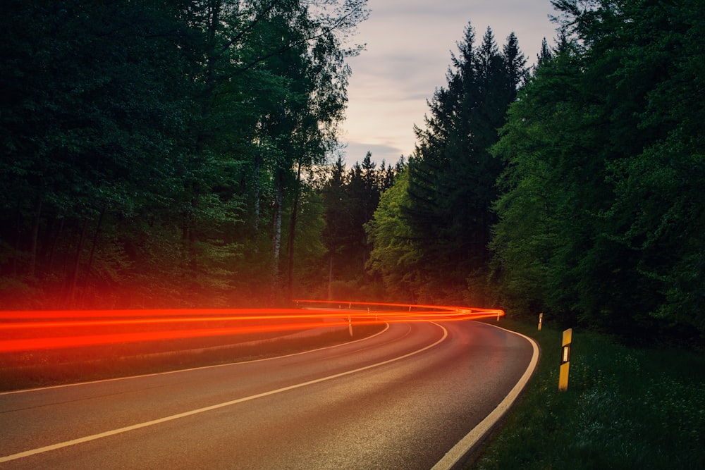 gray asphalt road between green trees during daytime