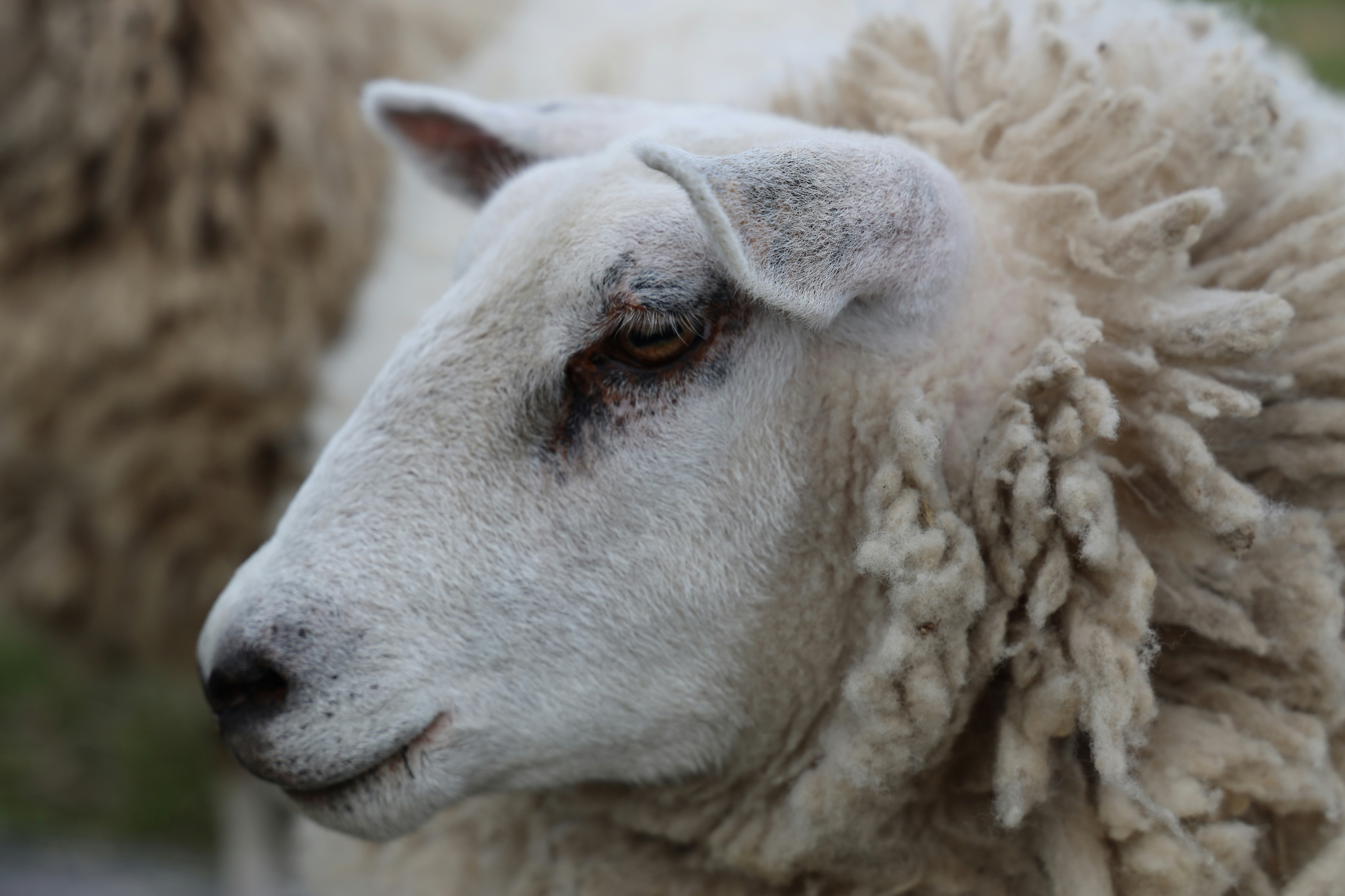 Photo by richardworks