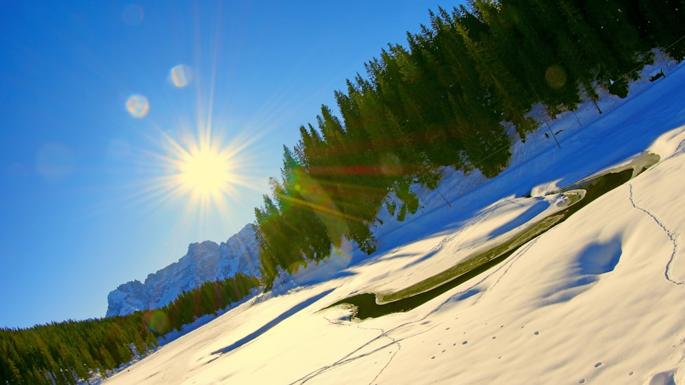 árvores verdes na montanha coberta de neve sob o céu azul durante o dia