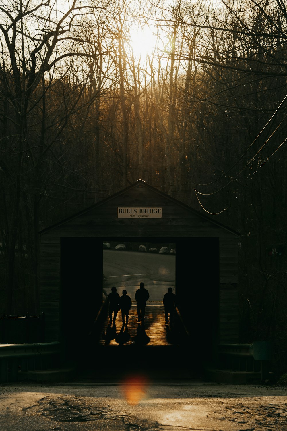 people standing in front of brown wooden house during night time