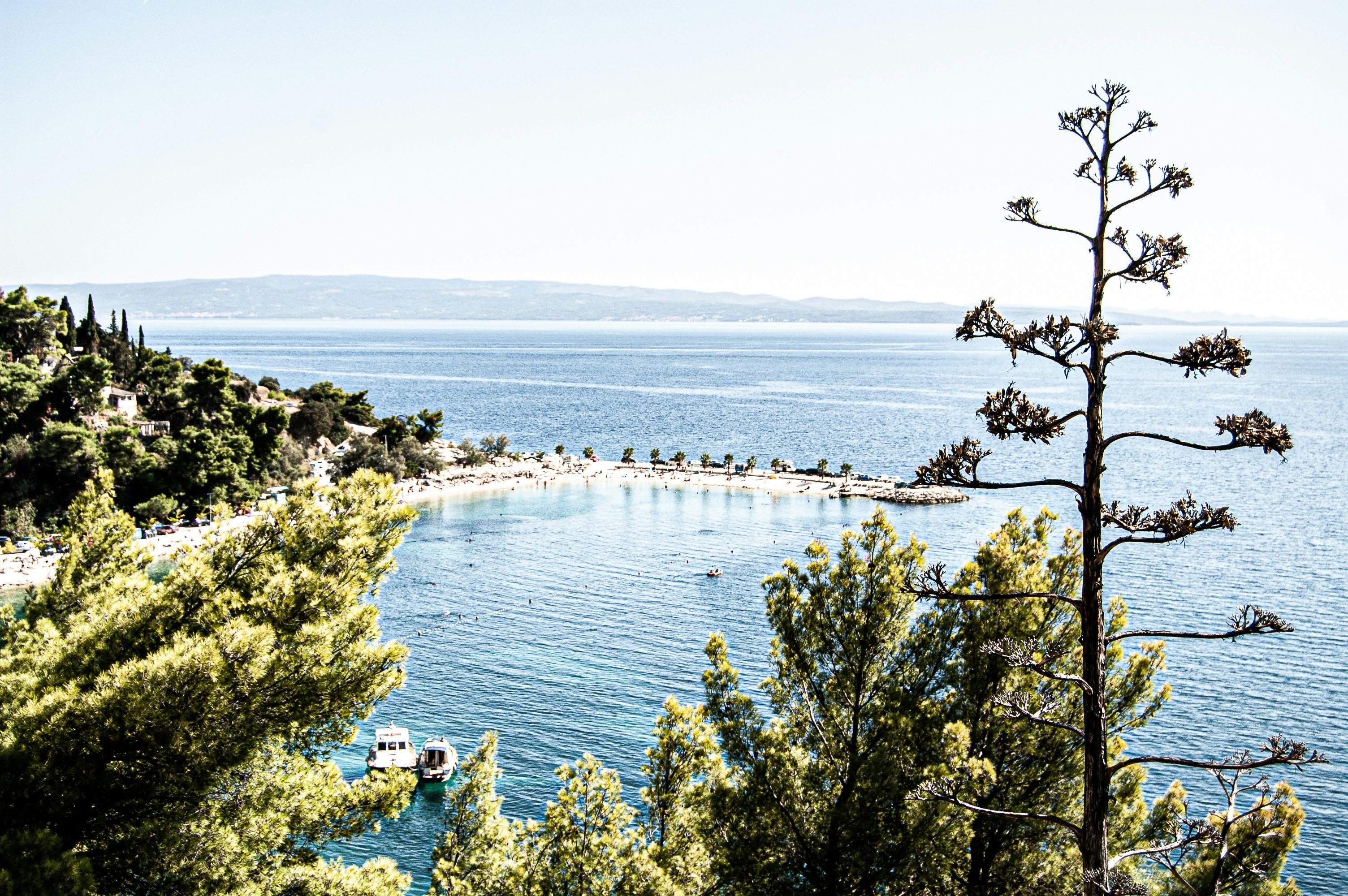 Photo by ferranfeixas