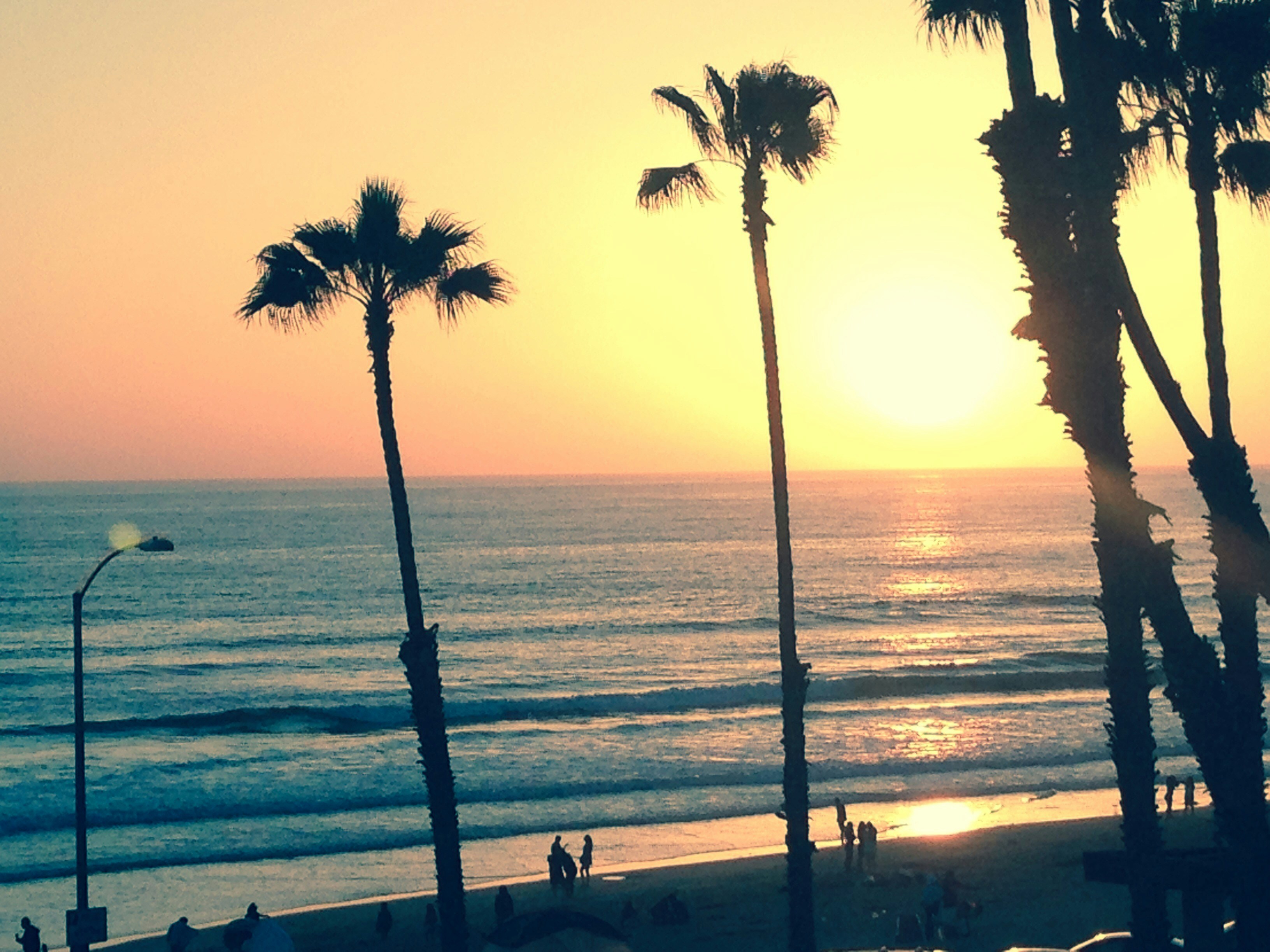 Bali beach sunset with silhouetted palm trees, warm golden tones, bright open sky