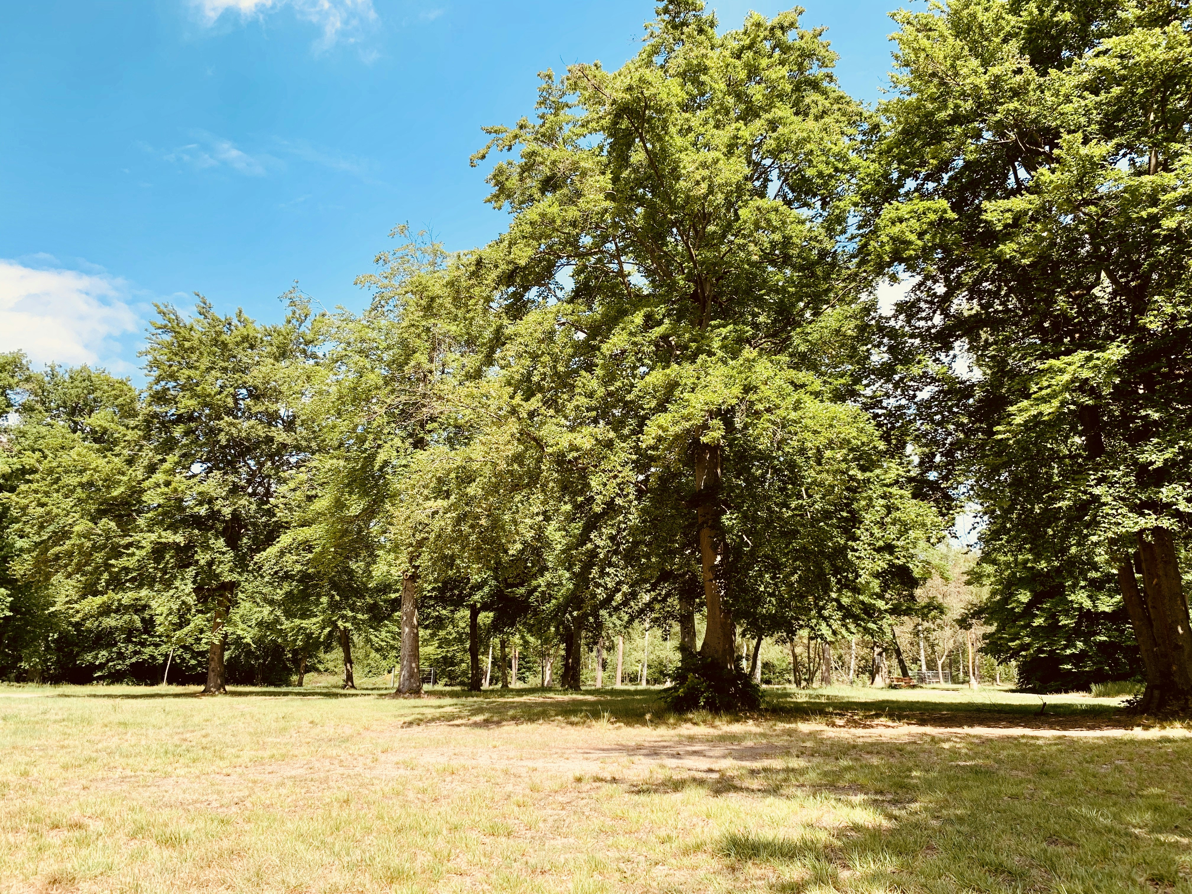 Photo by urbanisierung