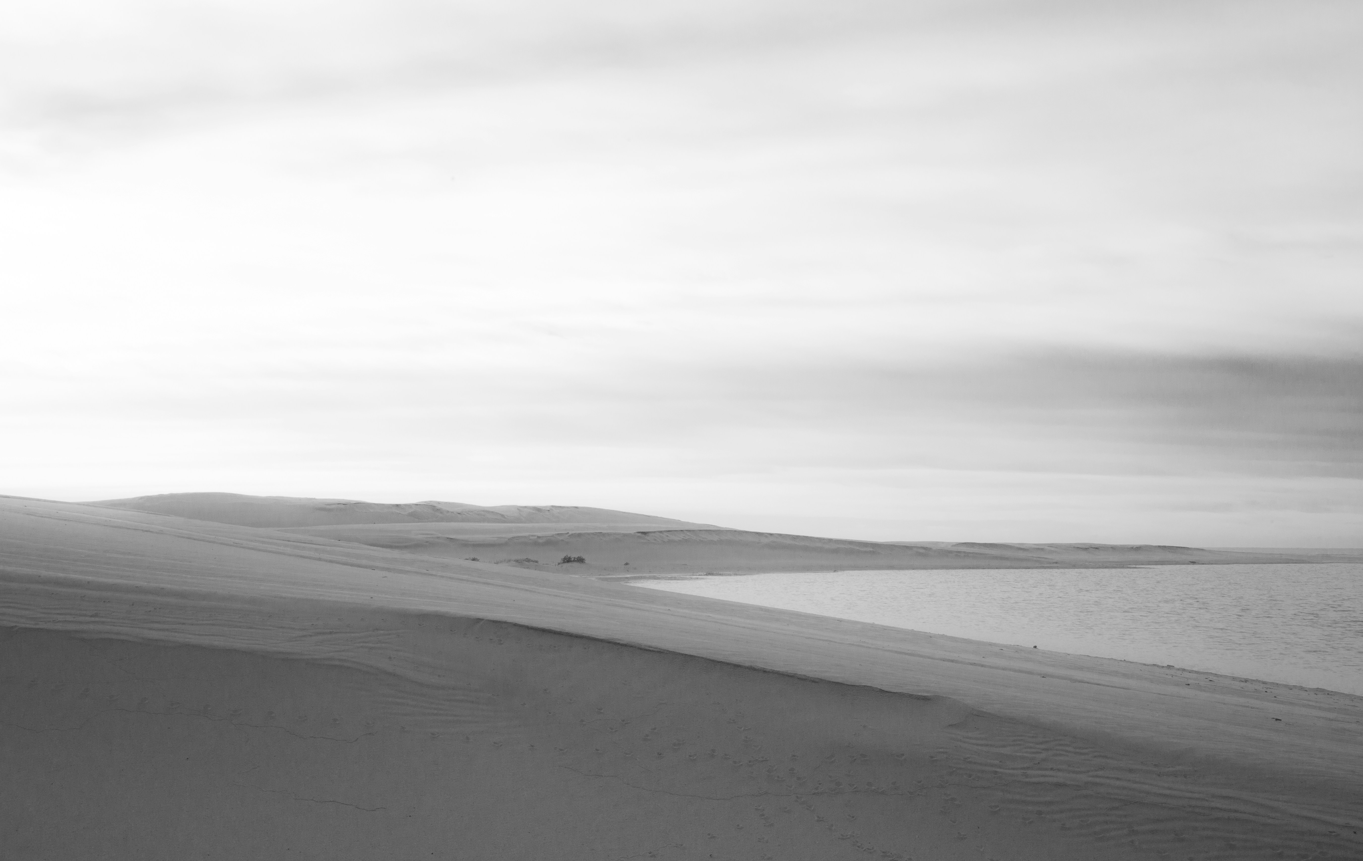 Photo by charl_durand