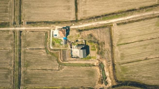 aerial view of green field during daytime