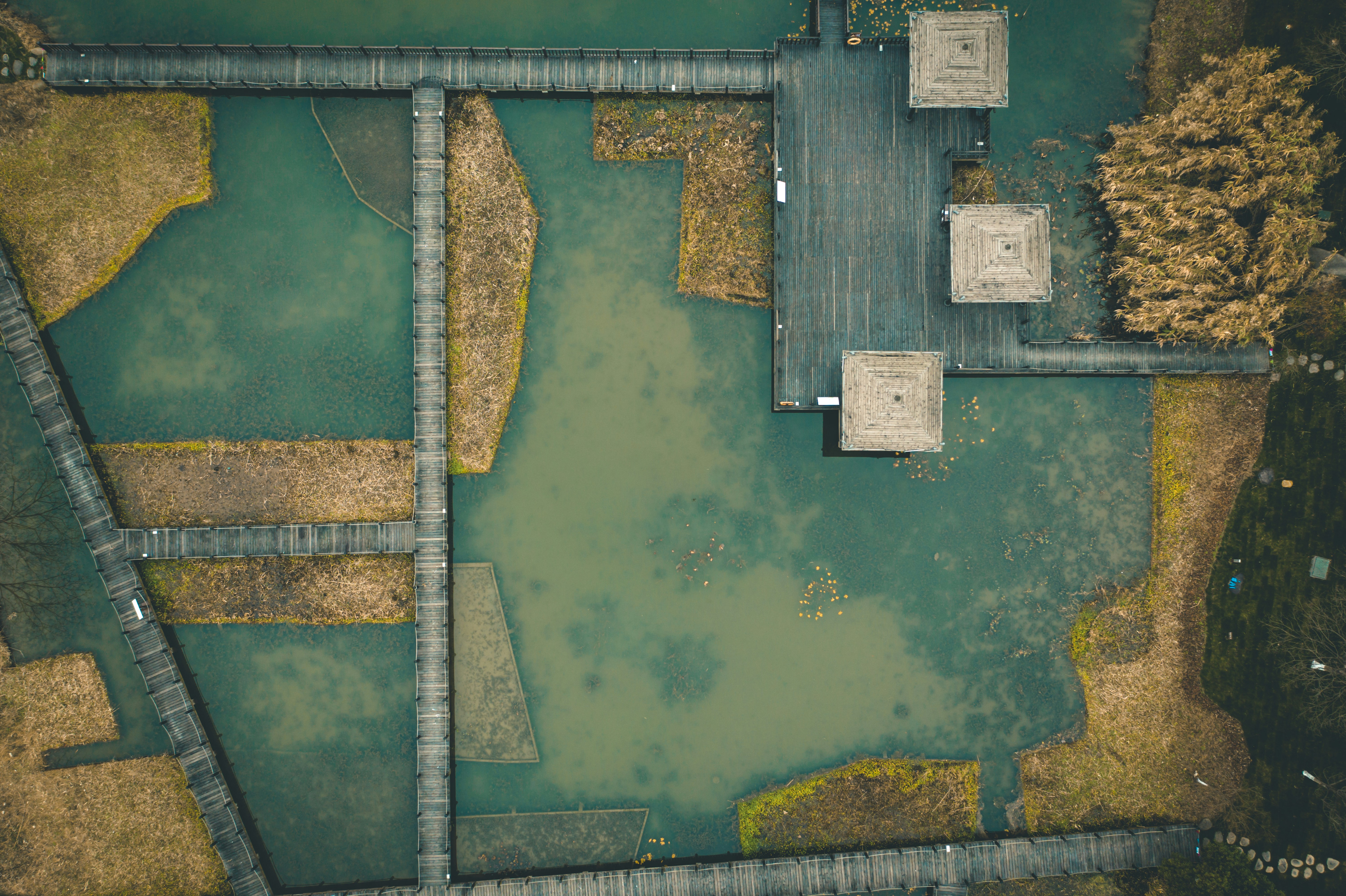 Aerial view of green and brown field photo Free Grey Image on Unsplash