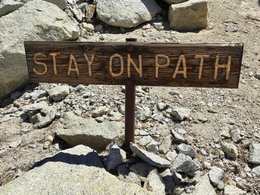 The Strategic Judgment Calls That Define Top Tier AI Platforms - Ec… — The Strategic Judgment Calls That Define