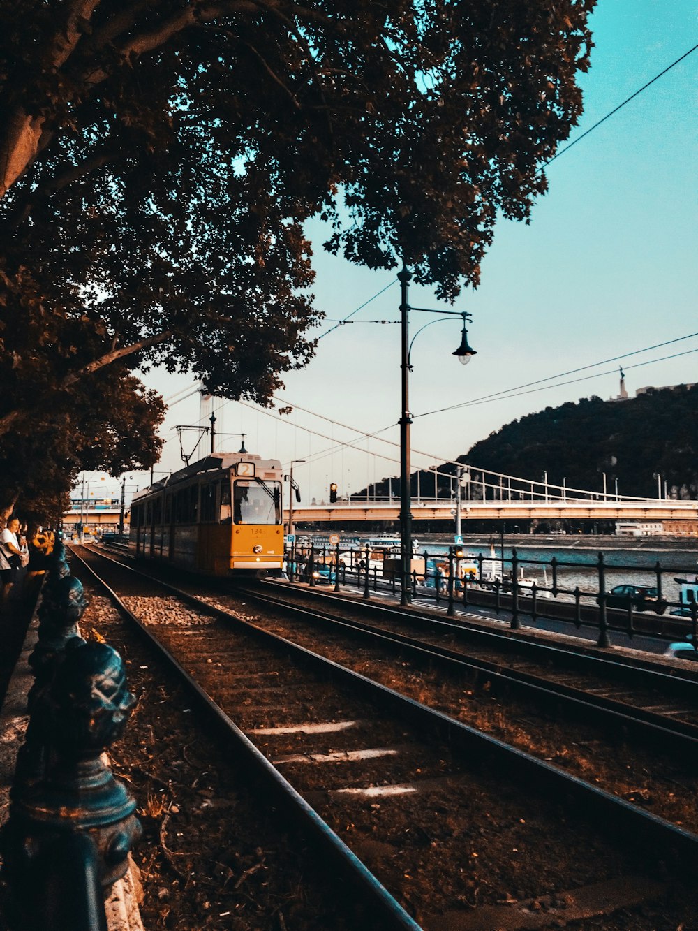 yellow train on rail tracks near trees during daytime