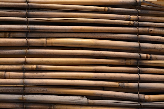 Close-up of intertwined bamboo poles bound with natural rope, showcasing artisanal bundling.