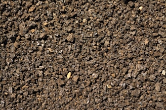 a close up of a dirt surface with small rocks
