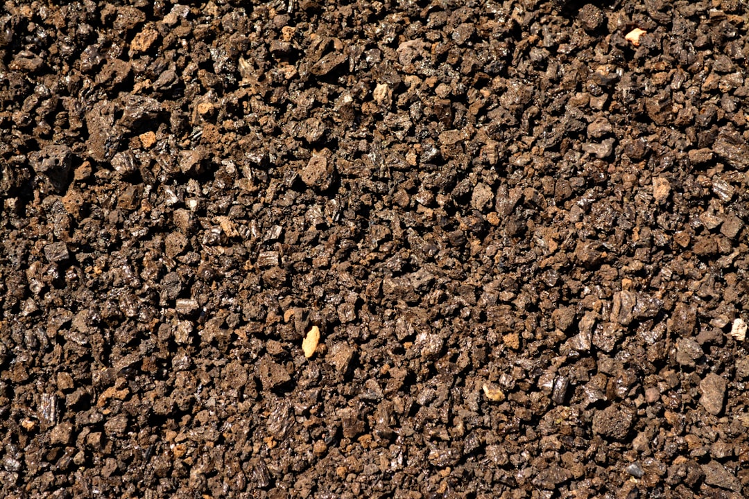 a close up of a dirt surface with small rocks, Lapilli texture