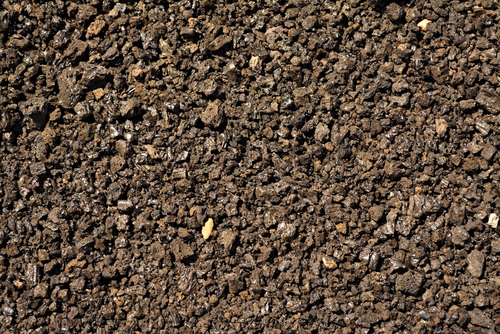 un gros plan d’une surface en terre battue avec de petites roches
