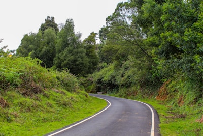 Mountain trail winding through lush forest inviting travelers to explore off the beaten path.