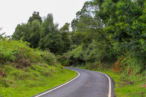 A rugged road winding through a warm brown and forest green landscape, perfect for a retirement road trip