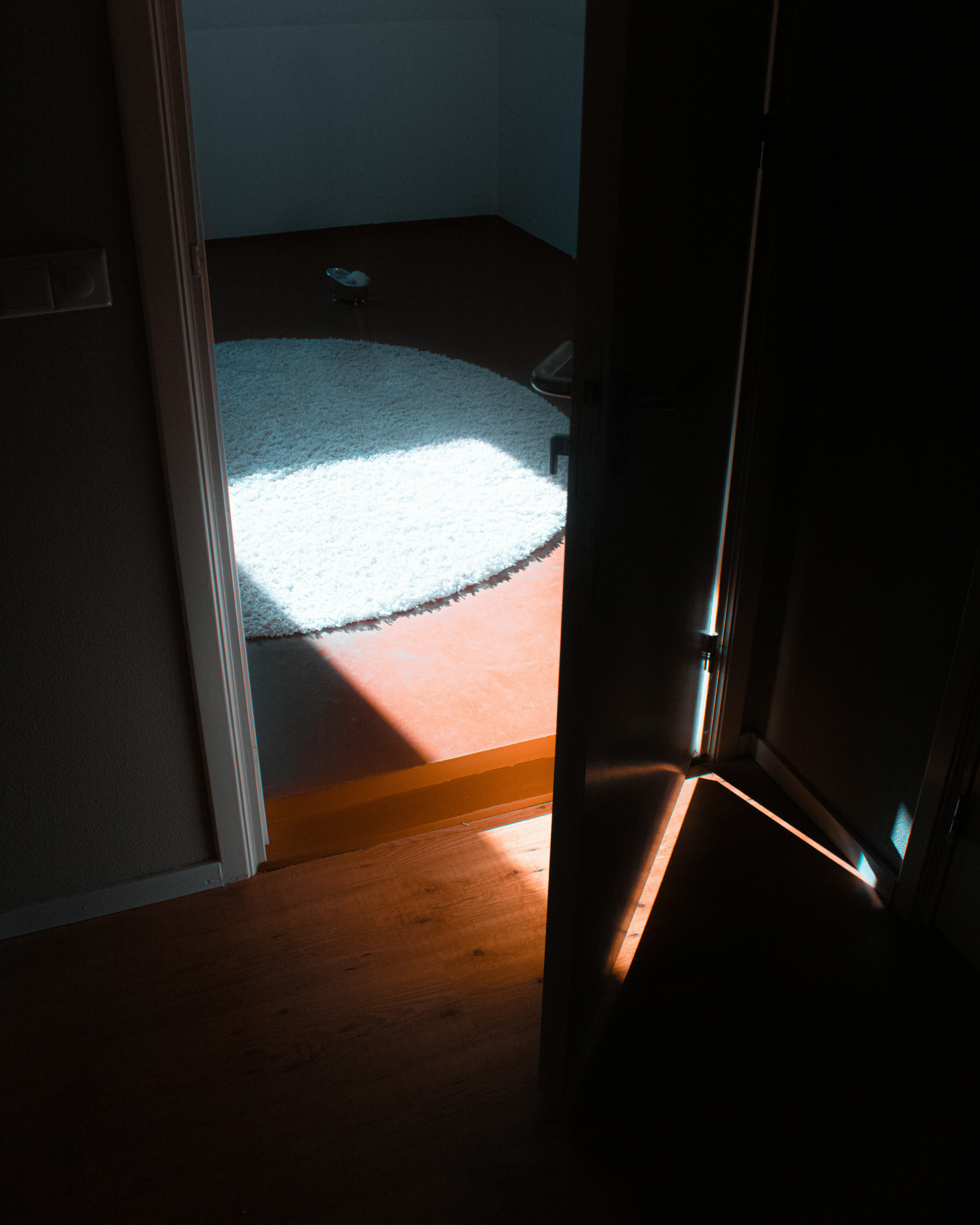 white area rug on brown wooden floor