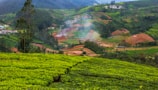 A panoramic view of lush green tea plantations set against a backdrop of rolling hills. Small villages and patches of farmland are scattered throughout the valley, with a light mist rising from the earth, adding a serene atmosphere. The landscape features various shades of green and brown, with tall trees scattered sporadically.