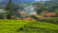 Panoramic view of tea plantations and misty mountains near Ella.