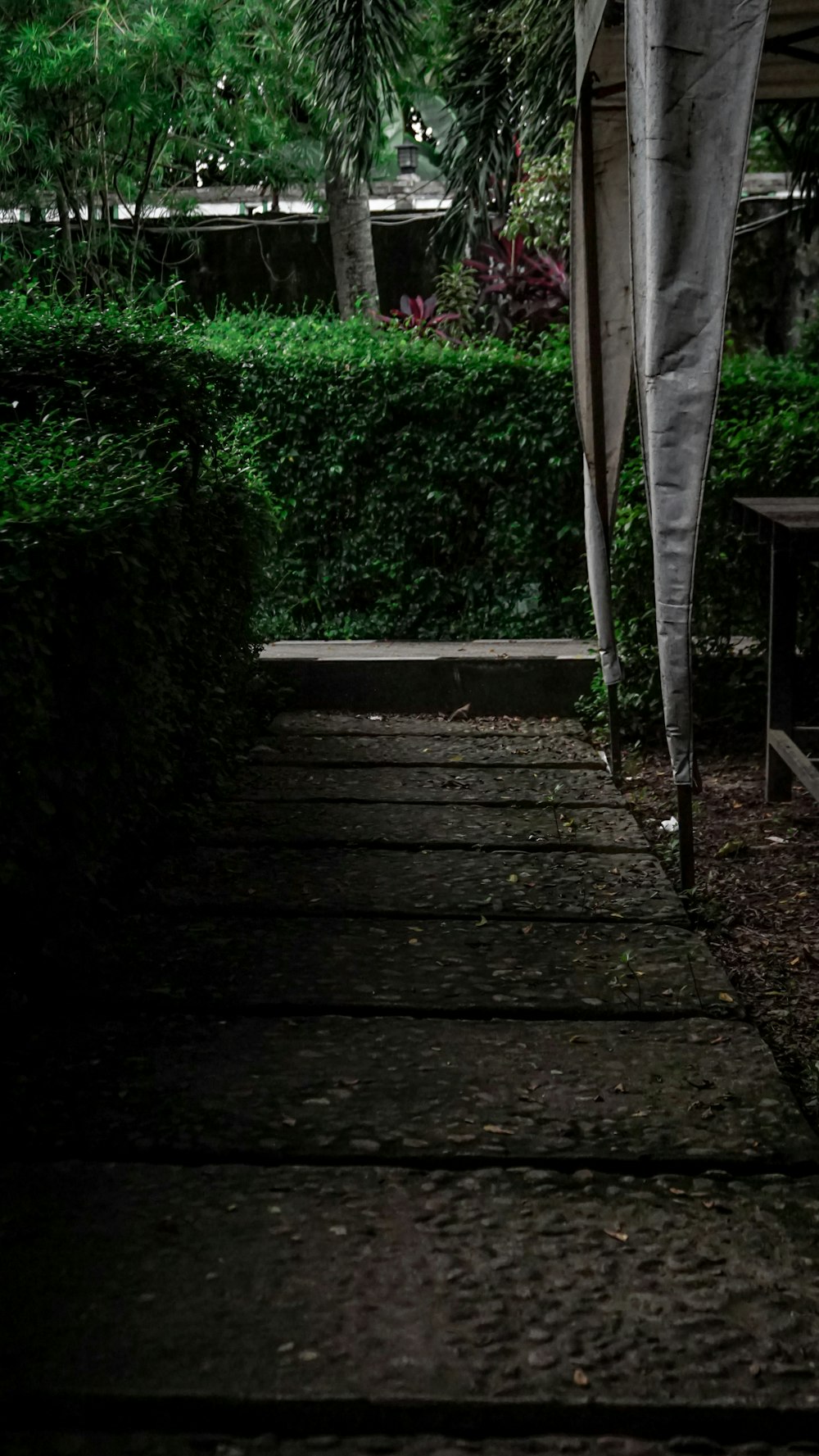 brown wooden stairs with green grass