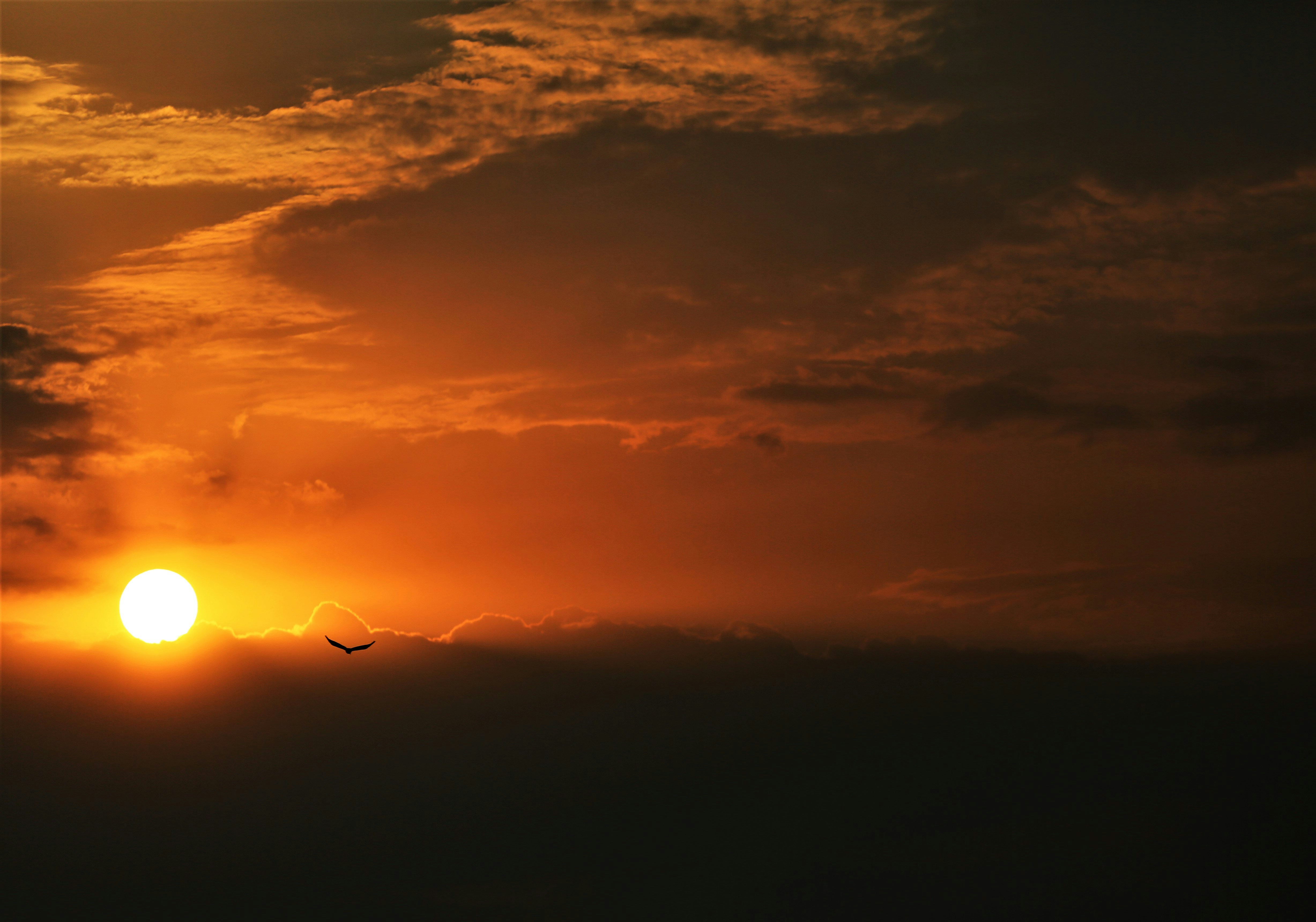 Photo by sujeethpotla