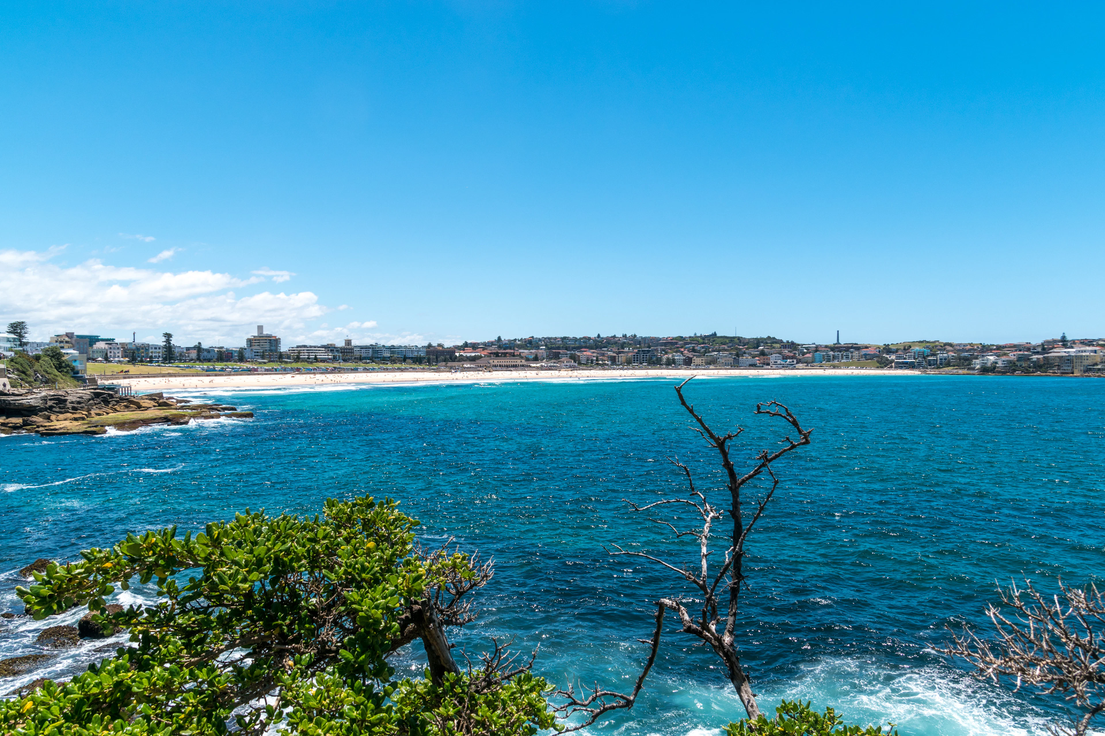 Blue ocean, a curve of beach and coastal bush in Sydney