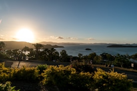 The landscape displays a serene sunset over a vast body of water, surrounded by lush greenery and silhouetted islands in the distance. The sky exhibits warm hues blending into the horizon, illuminating the area with a calming glow. Various people are gathered on a hill, enjoying the view amidst clusters of vibrant yellow and green plants.