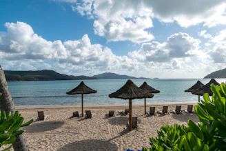 brown wooden beach lounge chairs on beach shore during daytime