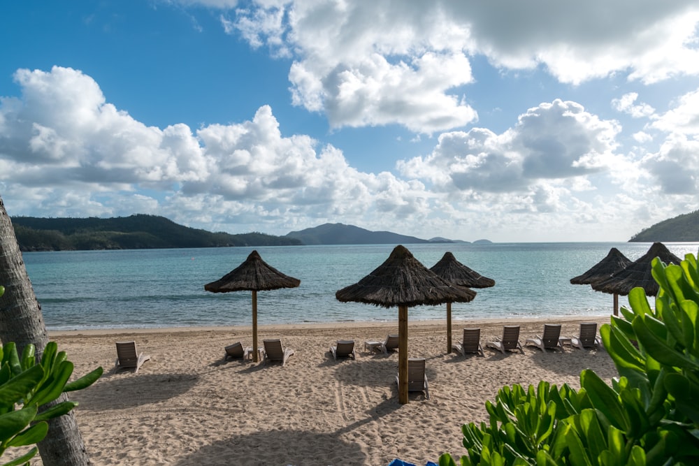 brown wooden beach lounge chairs on beach shore during daytime