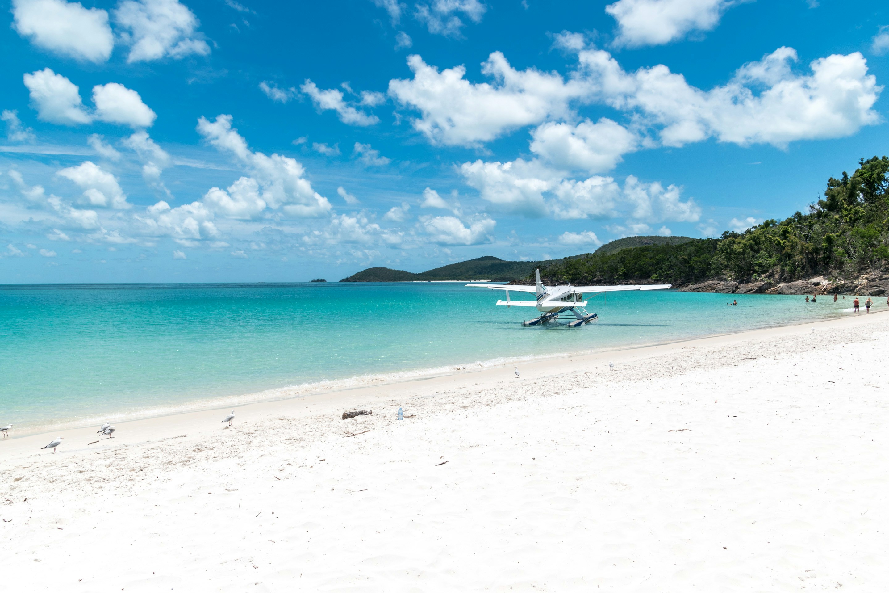 white and blue boat on sea during daytime, Hamilton Island, Australia