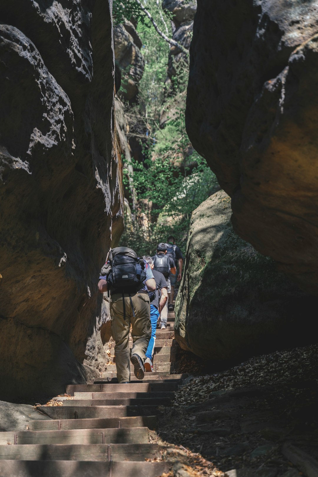 photo of Bad Schandau Canyon near Bastei